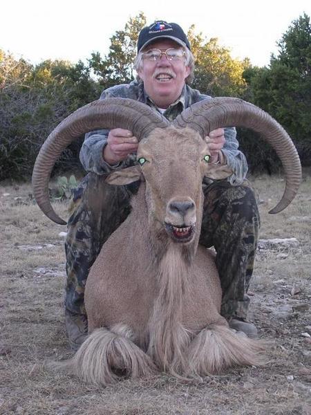 Cheap hunts in west texas